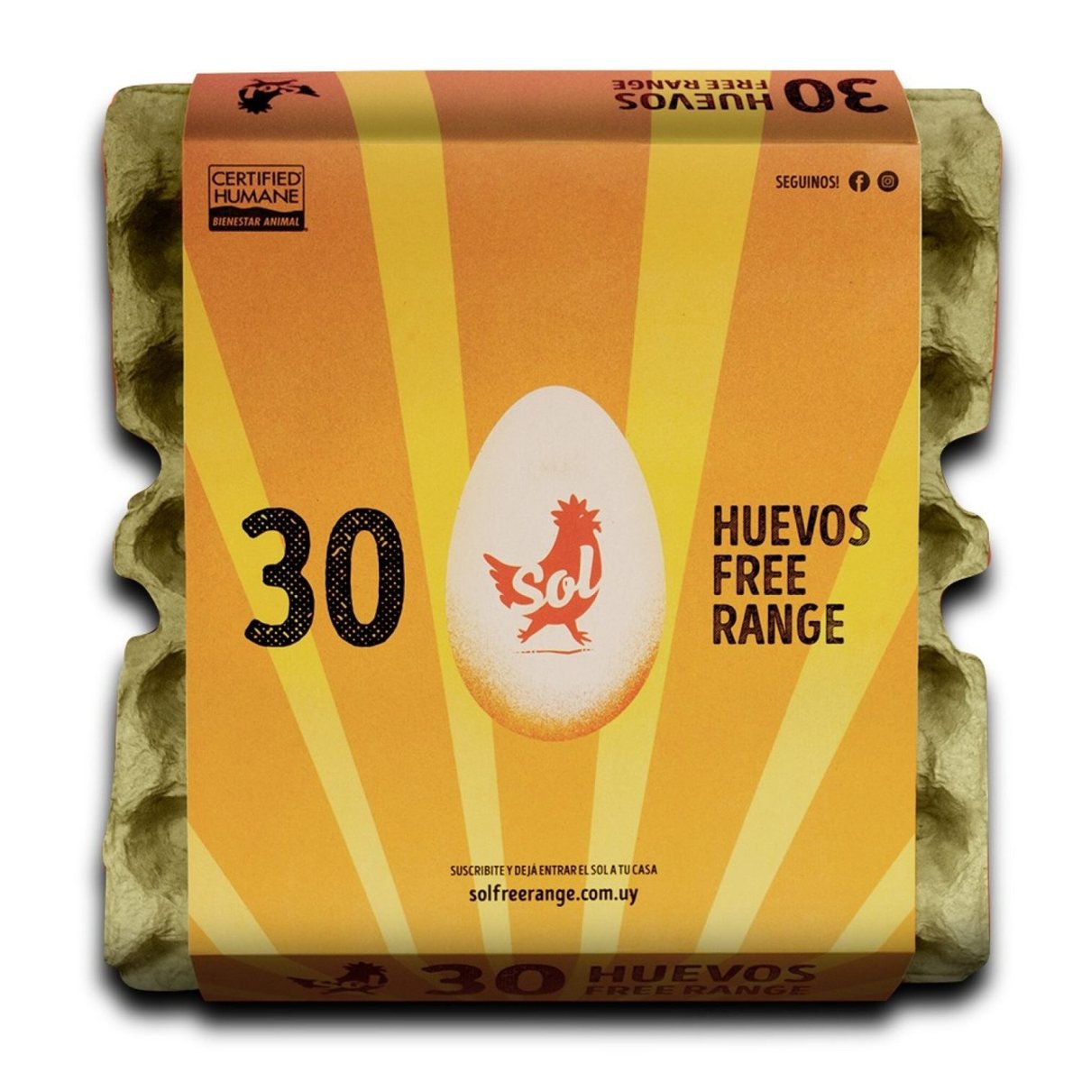 Huevos free range x12
